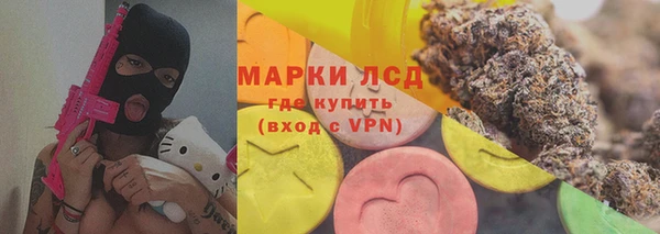 сатива Богородск