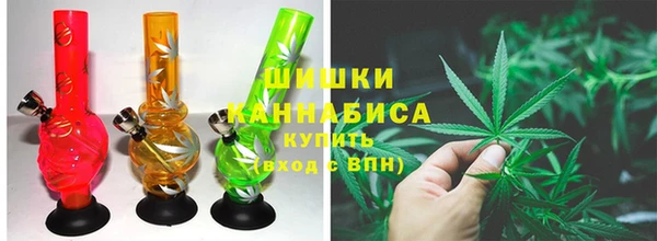 сатива Богородск