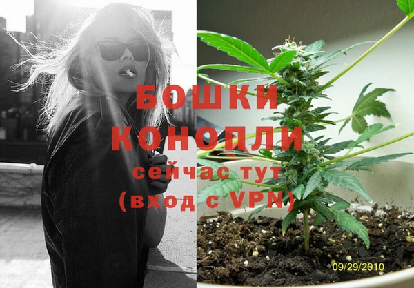 сатива Богородск