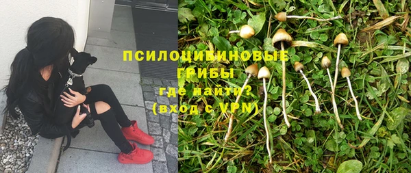MDMA Premium VHQ Богданович