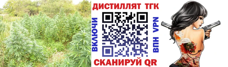Дистиллят ТГК концентрат  закладка  Пионерский 
